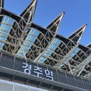 경주 | 후기 : 경주 미피스토어 방문