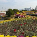 서구청 옥상생태공원 | 🌷서구청 옥상생태공원🌷