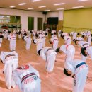 혁신 태권도 | 전주혁신도시태권도 유아체육 체험수업 받아본 찐 후기!