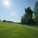 천보체력단련장 이미지