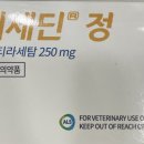 (주)제이에스케이 네이버블로그