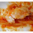 대티물꽁 이미지