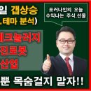 미래이앤에프주