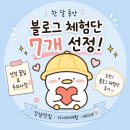 하나애드강남 | 체험단 7개 선정된 후기! 선정 꿀팁 및 주의사항(feat. 강남맛집, 디너의여왕, 어디야)+네이버애드...