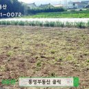 황금땅공인중개사사무소 이미지