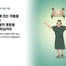 2월19일(일)-갈라디아서 4장(하나님의 아들) 이미지