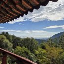 일양주유소 이미지