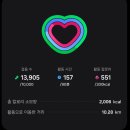 주정차단속-65 | 광주에서 목포 남도국제미식산업박람회 후기