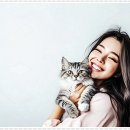 펫퍼스트 24시 강아지분양고양이분양 용인점 이미지