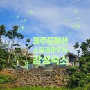 소길리안 974 | 제주도 펜션 애월 풀빌라 감성 숙소 소길리안974