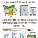 욜로 이미지