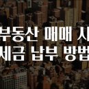 세금과사람들 이미지
