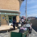 충남 보령 호도섬 섬여행 (대천항 출발, 서해민박, 바다슈퍼, 낚시 해루질)