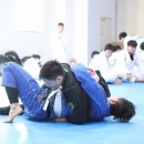 쎈짐 - 경산시 하양로 50 | 쎈짐
