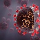 델타변이바이러스, 람다변이바이러스의 증상・감염력…코로나19변이바이러스의 특징 이미지
