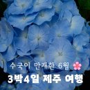 종달해녀의집 | [제주 여행 총정리] 6월 아름다운 수국 보러 떠나는 3박 4일 제주 자유여행 코스