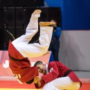 한국합기도 이미지