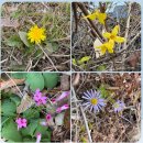 성주평생교육센터 이미지