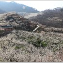 매화농업협동조합 이미지