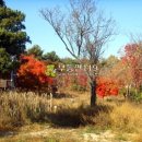 용지하우스 이미지