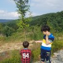 한티별빛아래관광농원야영장 | [대구] 한티 별빛 아래 관광농원 야영장