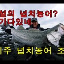 제주신도테크 네이버블로그