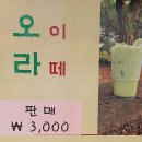 육농이나르샤