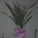 금화건설(주) 이미지