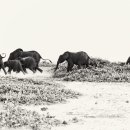 신성석유(주) 이미지