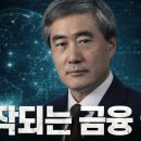 “시작되는 금융 실험 : 신현송 씨가 들고 온 새로운 금융 질서” 이미지