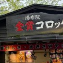 킨쇼 | 유후인 거리 맛집 추천 킨쇼 금상 고로케 / 유노츠보거리 맛집