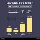 농협 금융 2분기 순이익 1.1조 이미지