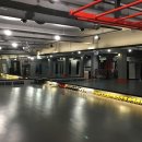 리스펙트 킥복싱 아카데미 이미지