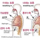 필라테스스튜디오라피네 네이버블로그