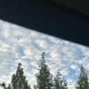 호암농장 | 9월 일상-1(서울나들이,호암미술관🖼️,용인포도🍇,요미우돈교자)