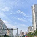 세일링라이브 티스토리