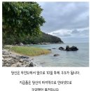 당신은 무인도에서 앞으로 10일 후 구조됩니다. 이미지