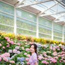 성읍리-25 이미지