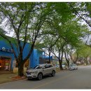 성현식당 이미지