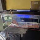 둔산중로-36 이미지