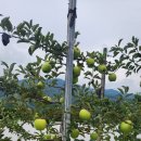 현진바이오 이미지