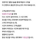 모뮤토 이미지