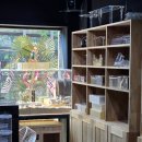 곰찌 | 부천 [곰찌] 햄스터용품점 후기