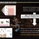 셀비아 이미지
