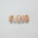 르네아트 이미지