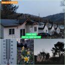 촌부의 단상-산골의 봄은 과속 주행 이미지