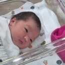 밝은미래산부인과의원 이미지