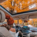 (주)메디인 이미지