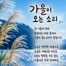 세조가 친동생인 안평대군을 처참하게 🥲 이미지