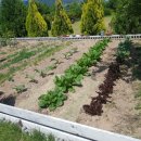 세현공인중개사사무소 이미지